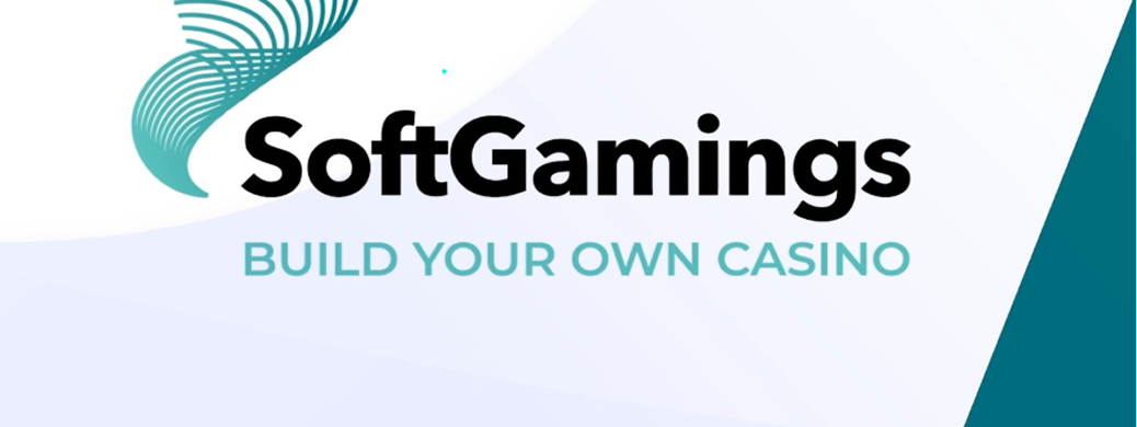 SoftGamings case