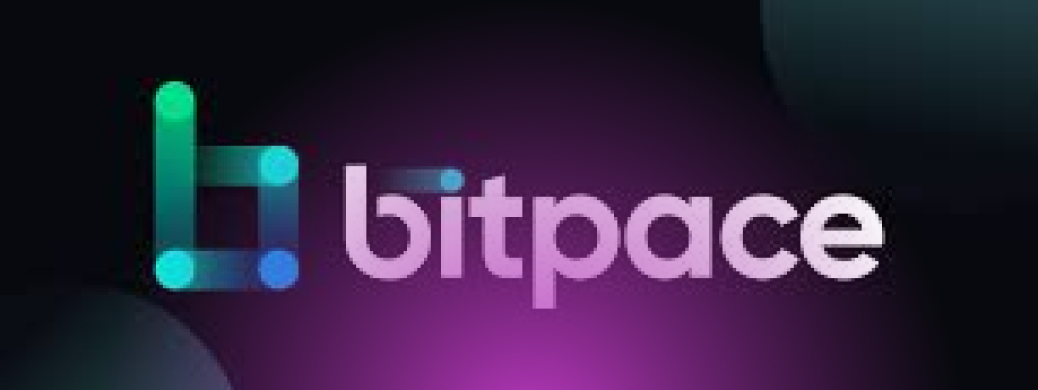 B2BinPay case